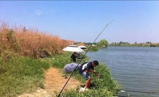 流速|入秋之后，选这几个地方下杆，大鲤大草疯狂钓不完！