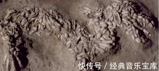 是真的吗&据记载,夏朝时的刘累曾养过两条“龙”,他养的究竟是什么?