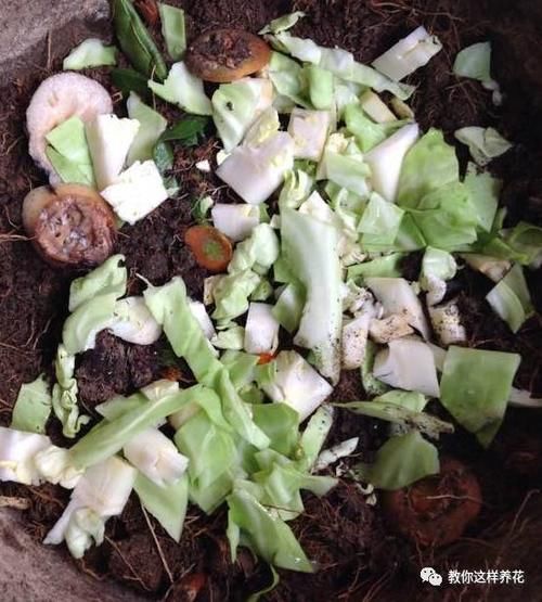 养花的旧土别扔，一招巧变新土，肥沃透气，花儿蹭蹭长！