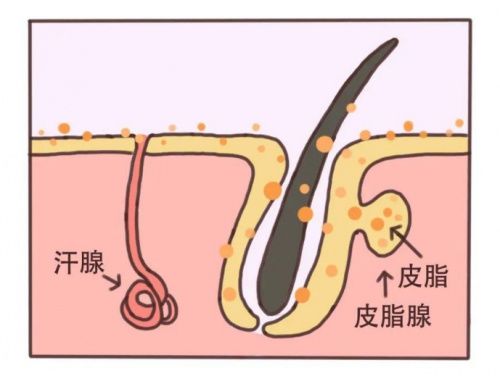 痤疮|拒绝做“痘女郎”，这些年你的祛痘方式对了吗？