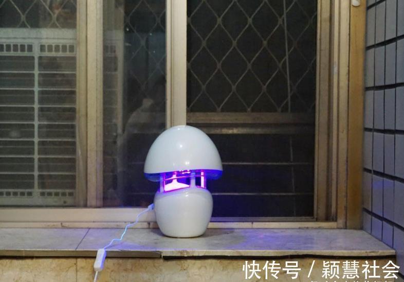 捕蚊|宝宝被蚊子叮咬后，第一步不是帮娃止痒，很多家长都做错了