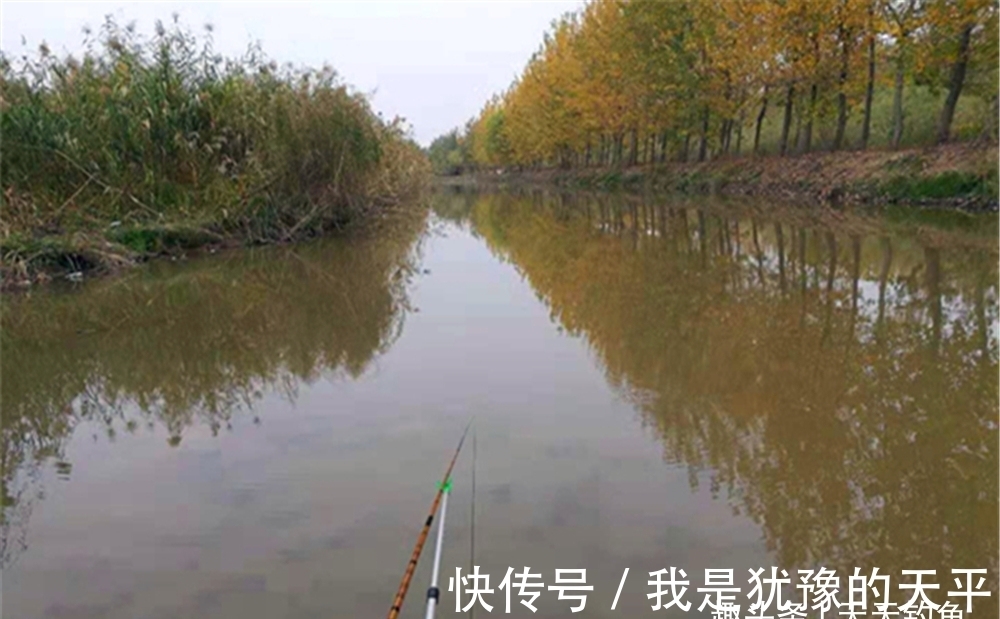 大雪过后钓鱼,注意有2个变化,变化之中找规律,低温也能连竿