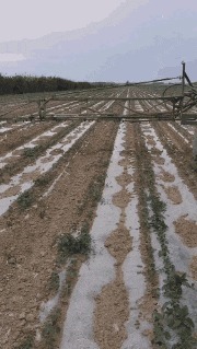 |搞笑GIF:这就有点看不懂了,同样是妹子,为什么她就那么优秀?