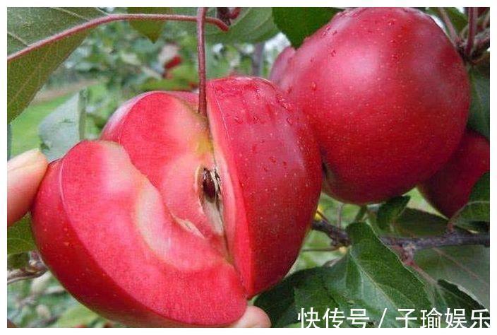 金针菇|想长寿先排毒,四种食物经常吃,营养丰富,滋补身体,试试看