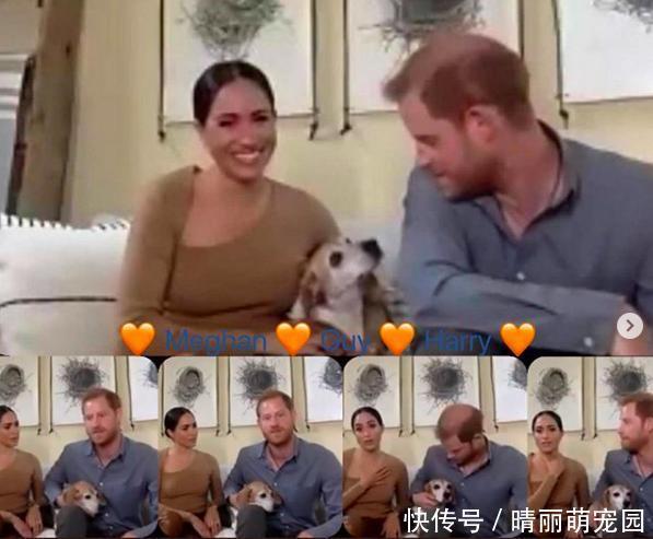 梅根不改豪奢风格,三千元新装表达立场,焦糖色穿搭充斥秋天衣柜