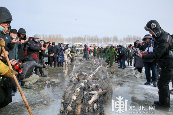 冰雪旅游|观鹤、冬捕、泡汤…… 解锁“鹤舞雪原”冰雪旅游线路的N种玩法