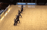 |搞笑GIF: 真相往往在后面 亲眼看到得不一定是真的