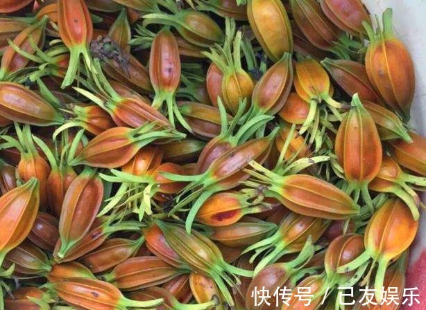 抗衰老|女性常吃此物,不贫血,没白发,不近视,抗衰老,清洁血液