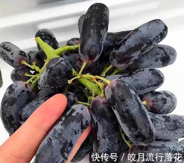 好吃|家里有阳台院子,这种果实别嫌弃,又好看又好吃,你见过吗!