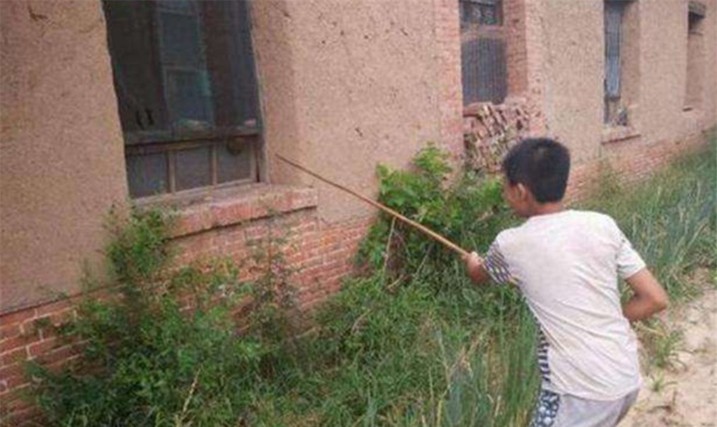 兄妹俩|“熊孩子”兄妹捅马蜂窝,蜇得爸妈认不出,网友不该笑但忍不住