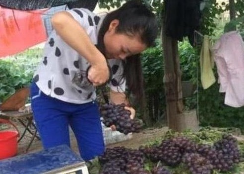 徐桂花|被封杀后的草帽姐,昔日风光不再,现回农村卖起了葡萄