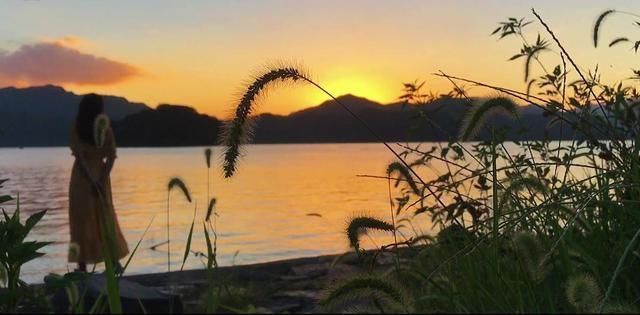 诗词#16首秋日诗词向晚来寻雁归处,同君共泛五湖舟