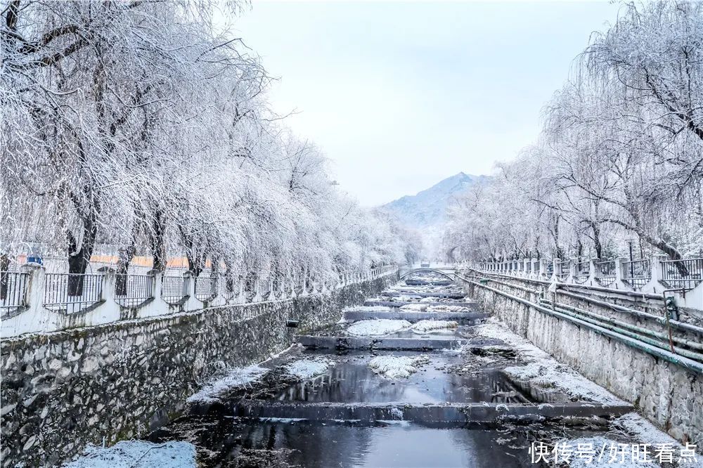 西安翻译学院：银装素裹雪景美如画