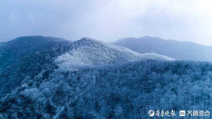 雾凇|玉树琼枝宛若仙境！济南九如山现绝美雾凇奇观