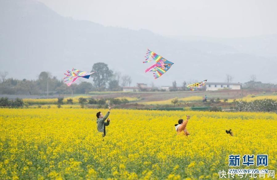 川西平原花季之旅