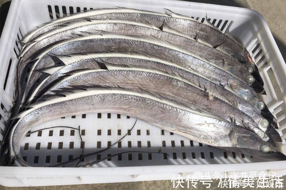 吕四|买带鱼，大带鱼好吃还是小带鱼好吃价格差几倍，区别大了