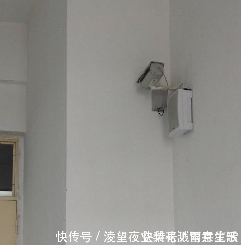 ev小长假不看点沙雕图怎么过!这世上竟有如此沙雕的手办!
