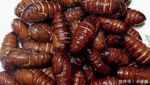 发颤|让南方人''发颤''的五道东北菜,全吃过的,算是地道东北人