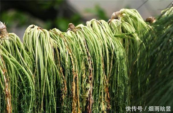 这种比辣椒还辣的蔬菜,腌制后变成“大众腌菜”,对便秘有特效
