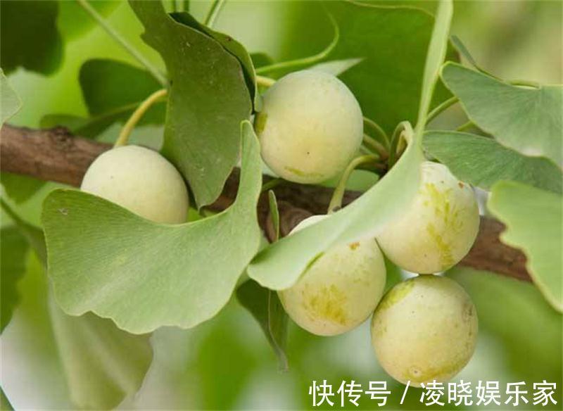 养胃|想长寿要会吃，三种食物不可少，养胃健脾，增强免疫力，早吃早好