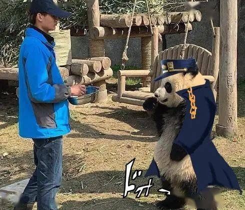 日本网友发现了究极像《EVA》里明日香的胖达！