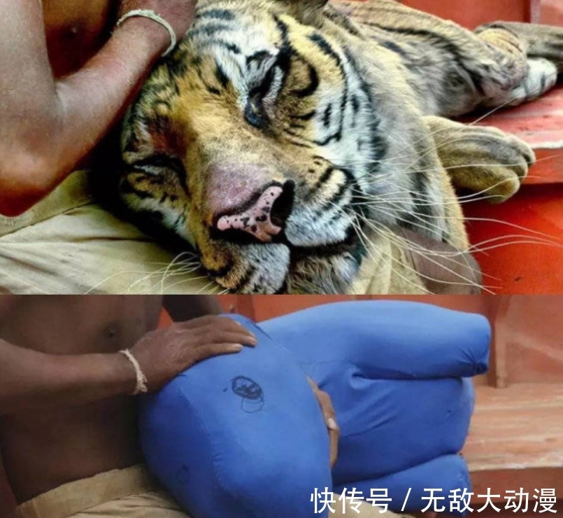 皮克斯|「亲子研学」揭秘动漫特效,在梦幻制作中玩转前沿科技!