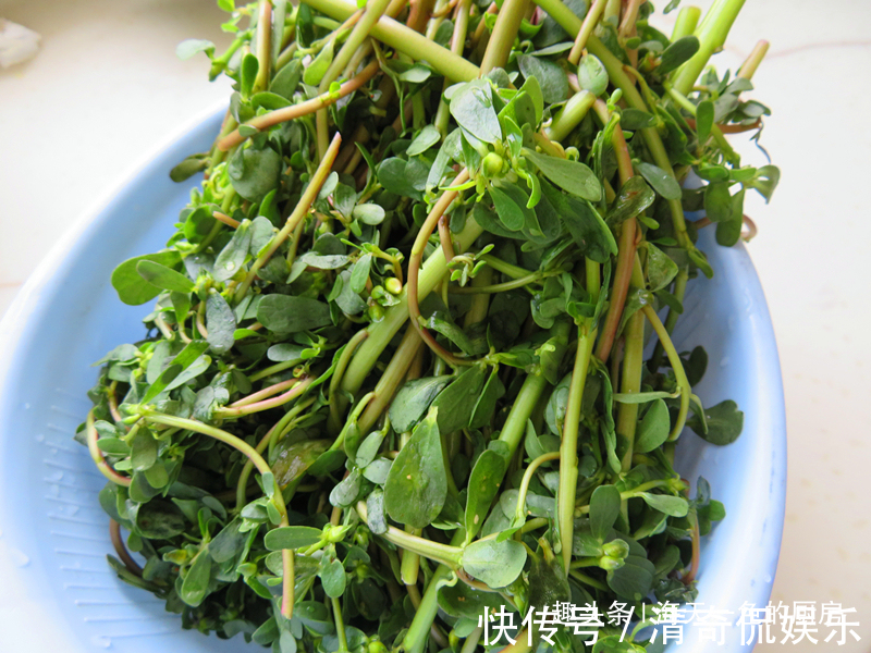 凉拌|夏天此野菜最受欢迎,不花钱菜地里掐一把,拌拌就能吃,清热解暑