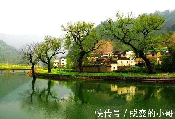 水力$雪化方懂云水力,春归自醉杨柳风