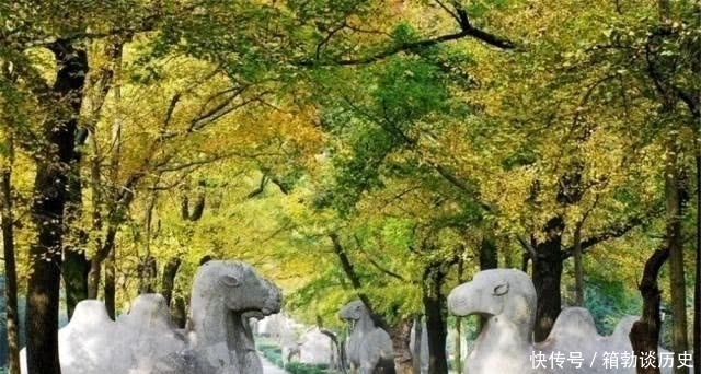 明孝陵|朱元璋孝陵至今已有600余年,为何没人敢挖?考古专家:换你也不敢!