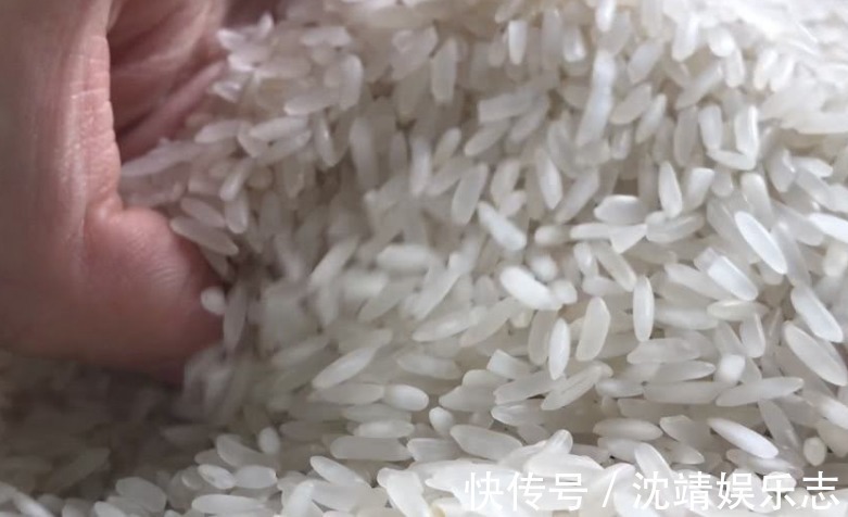 夏天大米长米虫,放一把“它”进去,从此不再招虫,简单实用!