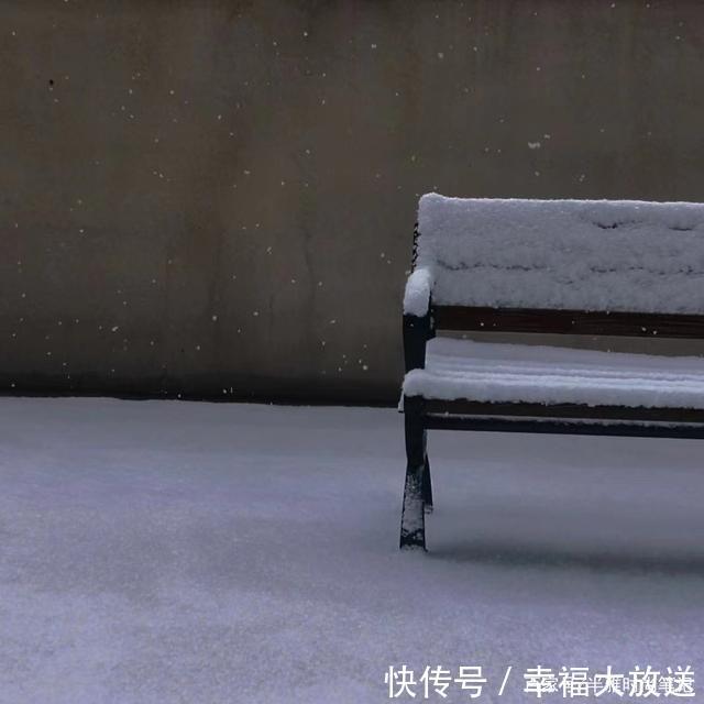 正确|大衣+半裙,才是冬天的正确打开方式