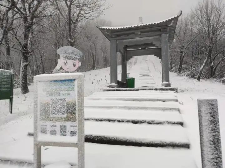 新闻记者|浙江多地下雪！一地积雪厚度达3公分……