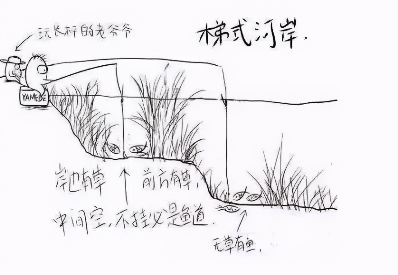 鱼道|“人有路，鱼有道”，这3种地方别错过，堪称鱼儿必经之路