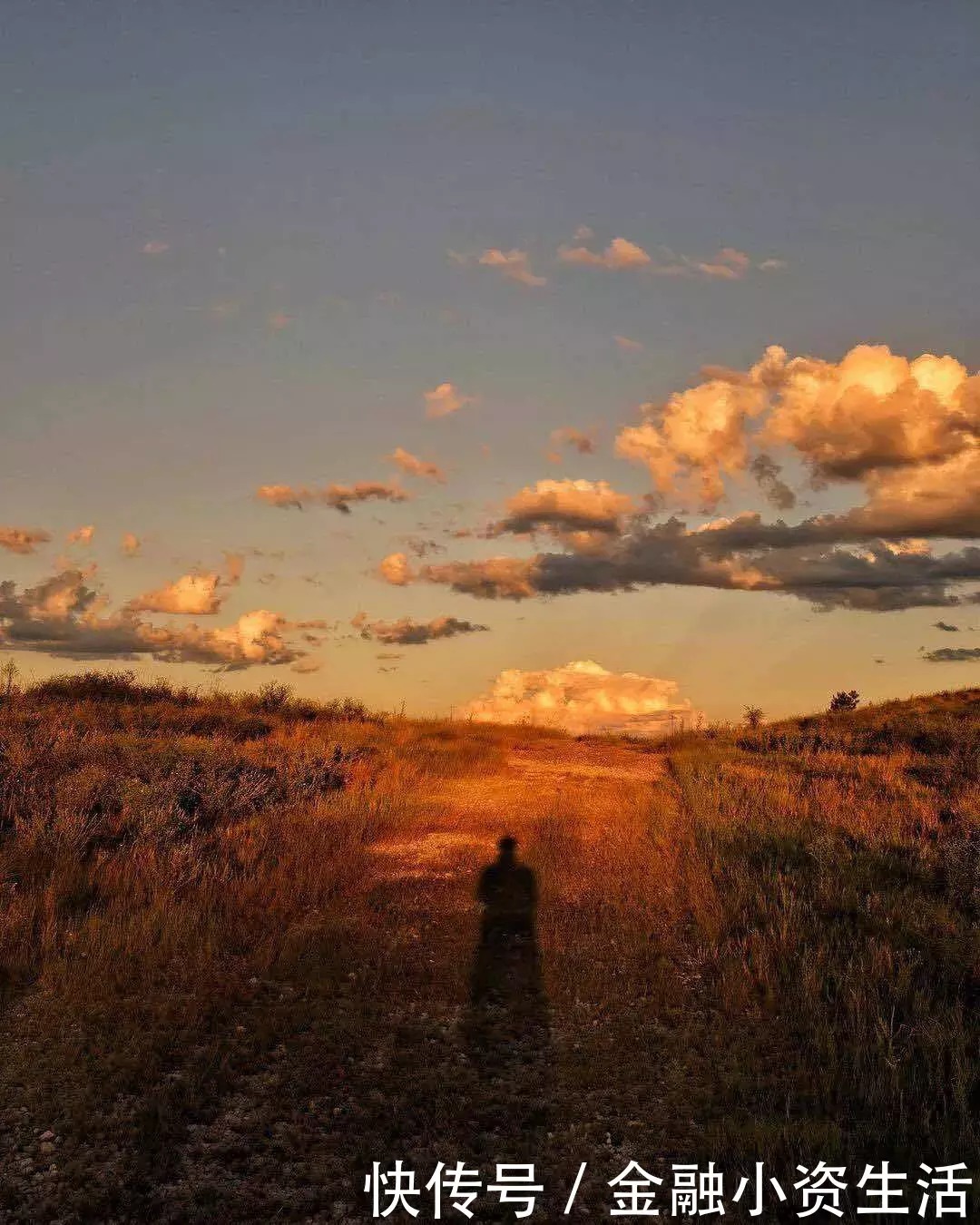 天生就闪耀着勇敢的微笑|骆一禾 | 闪耀着