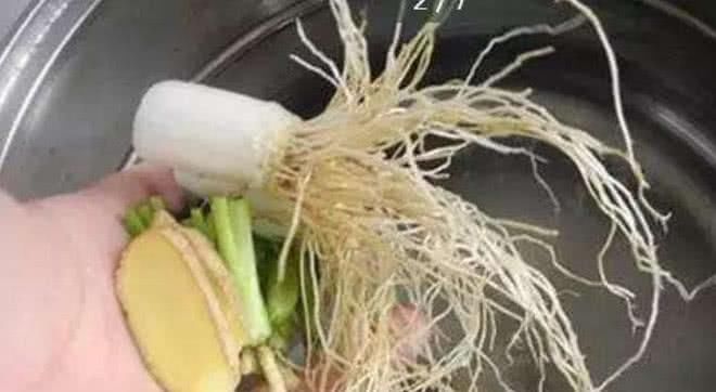 生姜|天然的“止咳方”发现了,常用此物煮水,坚持5天,秋冬季不咳嗽
