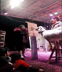 |搞笑GIF:老婆太厉害了 她说这样晾衣服干的比较快