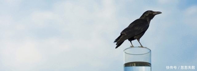 农村俗语''早不买猪肉,晚不买豆腐''是什么意思?是否有道理?