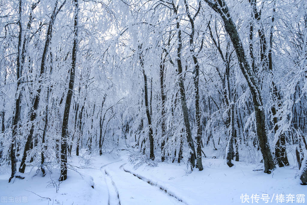  不冻|今日大雪，俗语“大雪不冻倒春寒，大雪不寒明年旱”，今冬冷不冷