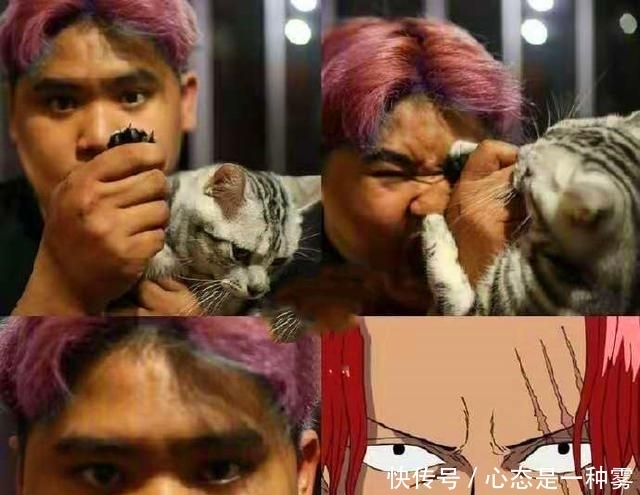 依旧|外国小哥低成本COS海贼王,娜美依旧很“大”,罗宾手速格外快