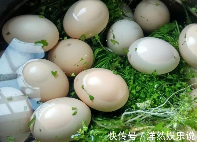 豆浆|清晨吃鸡蛋,身体早完蛋!吃鸡蛋的3大“禁忌”,望你早知晓