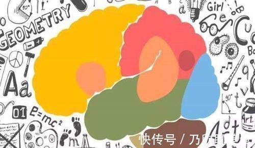 亲子关系|孩子有这3种表现,说明右脑很发达,好好培养将来更容易成为学霸