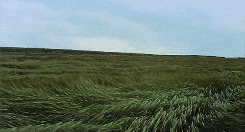 |搞笑GIF:这只猴子是进化了一半吧?另一半卡住了?