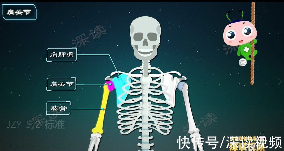 肌肉|肩膀疼痛？胳膊难抬？搞不好会残废？长期加班的亲，小心肩周炎