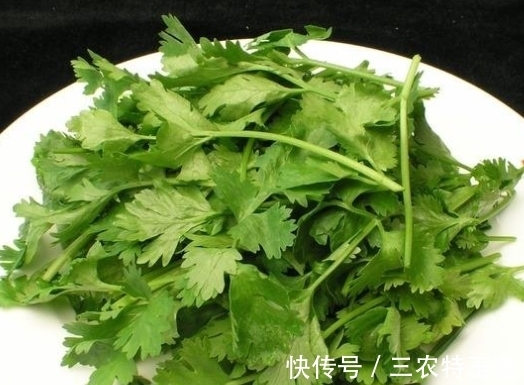 配料|味道奇特的“它”,还是备受重视的配料,价格比普通青菜更高