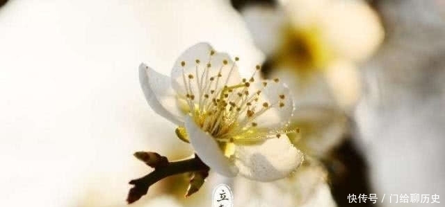  打春|农村俗语：“百年难逢闰九月，百年难遇岁交春”我们能赶上吗？