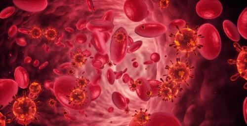 血脂|有高血脂不在意,4大危害接踵而来!牢记这些方法,有效对抗疾病