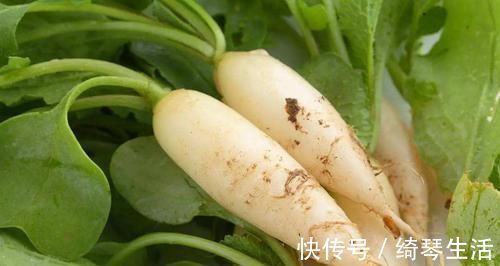 解酒毒|藏在身邊的“降壓高手”, 每天吃一點，血壓平穩身體好