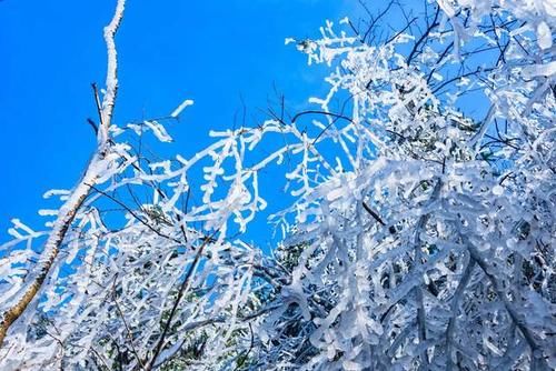 冰与雪是这个冬天最好的礼物-南方的雪乡云冰山