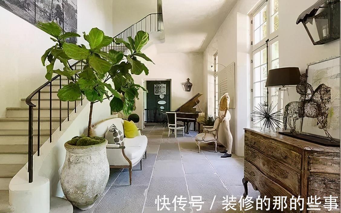 霸王蕨|你在养花，其实花也在养你，5种花养家里，比空气净化器还好用