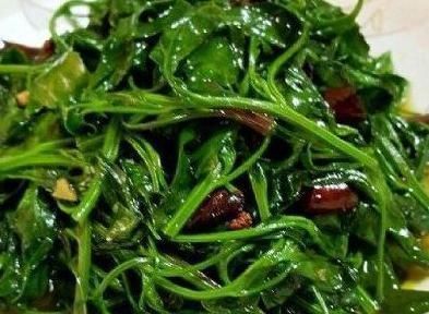 收购|农村常见的一种野草,丢在地里都没人要,现在城里人抢着收购